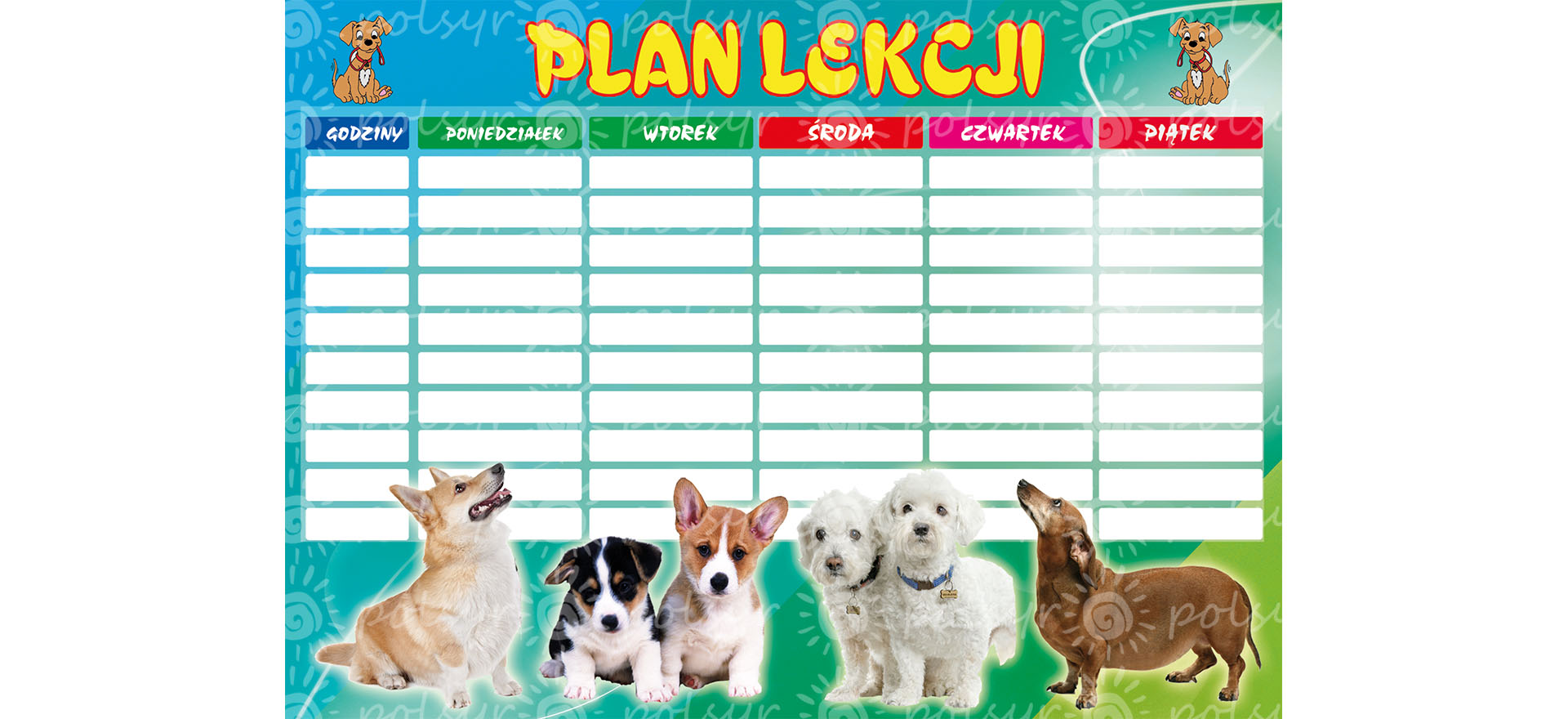 Plan lekcji  A5 (1szt.) Polsyr